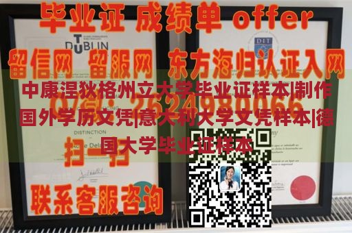 中康涅狄格州立大学毕业证样本|制作国外学历文凭|意大利大学文凭样本|德国大学毕业证样本